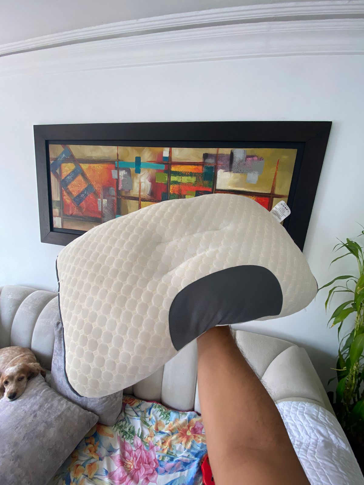 Miniatura 4 de COMBO ALMOHADA + MASAJEADOR ELECTRICO